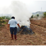 临武：早防智控 防火于未“燃”