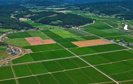 省自然资源厅调研督导湘潭、株洲农村乱占耕地建房摸排工作