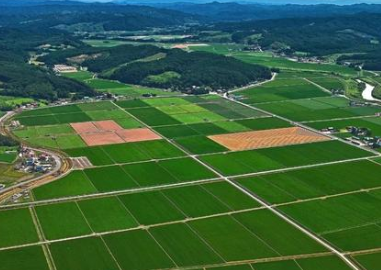 炎陵县召开农村乱占耕地建房整治专项行动摸排工作培训会