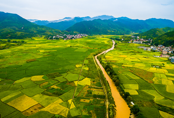 压实地方党委政府耕地保护责任，遏制新增违法占用耕地建房行为