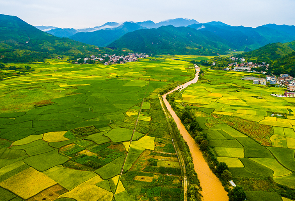 “不能、不敢、不用”打赢土地执法攻坚战——浏阳市自然资源执法工作纪实