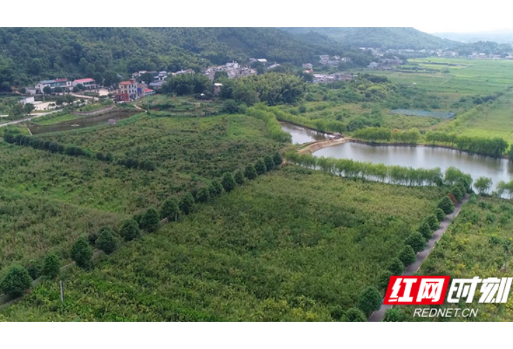 株洲：市局启动2020年度国土变更调查