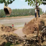 建章立制“三抓手” ，西湖管理区多措并举保耕耘