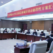 省自然资源厅召开长株潭绿心中央公园总体城市设计阶段性方案汇报会
