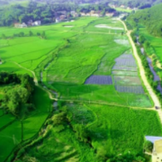 守护绿水青山，共建美丽家园——湖南国土空间修复范例画卷