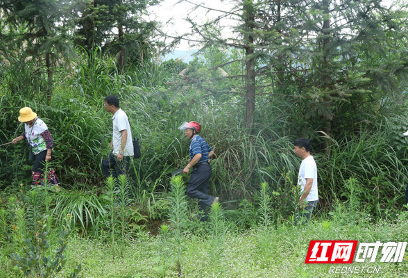 宁远自然资源局开展林权类不动产实地确权登记