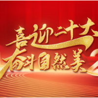 高扬利剑——党的十八大以来湖南全流程强化自然资源督察执法工作纪略