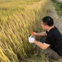 新发现富硒地块，坐标益阳！