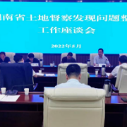 湖南省自然资源厅与国家自然资源督察武汉局召开土地督察发现问题整改工作座谈会