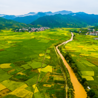 永州：蓝山县强化“五个保障”严格耕地保护