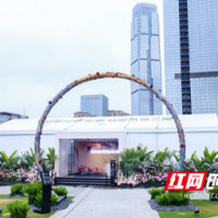 水羊堂品牌正式发布  “一展一店”模式赋能全球美妆品牌