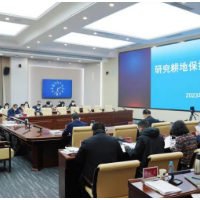 湖南省自然资源厅专题研究耕地保护工作