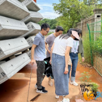 一件事一次办！岳麓高新区优化营商环境再出实招