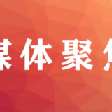 新区唯一  盈峰环境荣获城市管家服务特级认证