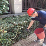 莱茵社区：秋季灭鼠清洁家园行动进行中