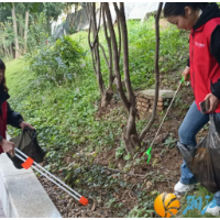 嘉顺社区：守护“河清岸绿”，“河小青”在行动