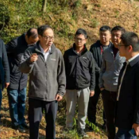 为对口帮扶和乡村振兴注入资规力量
