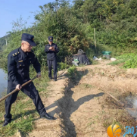 “秸”禁全力 “森”机勃勃 雷锋街道开展秸秆禁烧及森林防火巡查