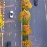 新区颜值，一路出彩！