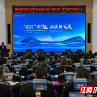 数据变信用、信用变真金！新区全力“贷”动高质量发展