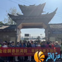 望月湖街道开展“金桂飘香秋满园· 幸福安康夕阳红”秋游活动