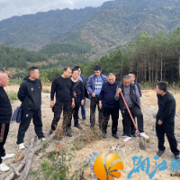 坪塘街道兴合村：外出考察学先进  乡村振兴建新功