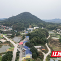 黄金园里话“黄金”！农家小院有风景更有“钱景”