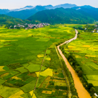 张家界市桑植县芙蓉桥白族乡合群村坚持规划引领乡村振兴