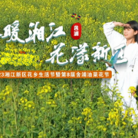 远山含黛，浦岸生花 第8届含浦油菜花节来啦！