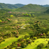 系统修复共治理 最是悠然见南山——湖南南山国家公园山水林田湖草一体化保护修复范例