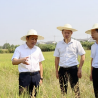 首批自然资源节约集约示范县（市）巡礼 | 湖南汨罗市：保护与开发并重 生态与发展共赢