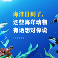 海报丨海洋日到了，这些海洋动物有话想对你说……