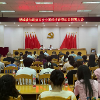 望城坡街道召开第五次全国经济普查动员部署会议