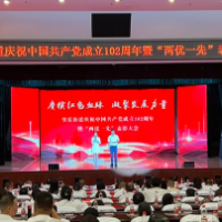 望岳街道开展“两优一先”表彰活动