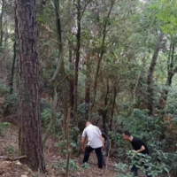 恒华社区：白蚁防治，助力创卫