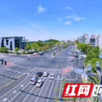 观察丨一条桐梓坡路，缘何“长”出数十家上市企业？