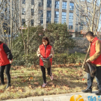 梅溪湖街道嘉顺社区:清理河岸,助力创卫