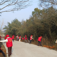 坪塘街道兴合村：党员志愿“红”  植树添新“绿”