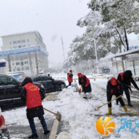 七里营社区：铲雪除冰利出行，锯除倒树保畅通