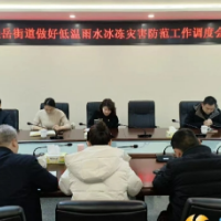 望岳街道：再部署再落实，全力保障出行安全