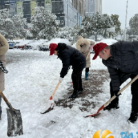 莱茵社区：铲雪除冰 暖心护行
