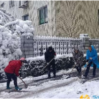 窑塘社区：铲雪除冰保畅通 志愿者们在行动