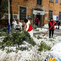 科学村社区：铲雪除冰为群众 入户走访显温情