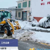 莲花镇五丰村积极开展扫雪除冰志愿服务活动