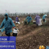 雷锋街道开展违规菜地集中清理整治行动