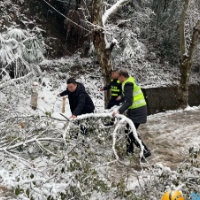 雷锋街道：清理雪后断枝 保障道路“畅”与“安”