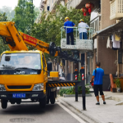 树木修剪除隐患，安全守护暖民心