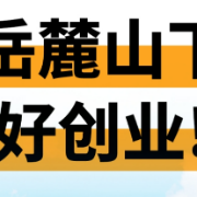 去哪创业，小帅宣布……