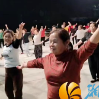 茶场村：迎光焕新，逐光前行