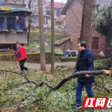 人心齐，冰雪移！桔子洲街道战风雪、护民安